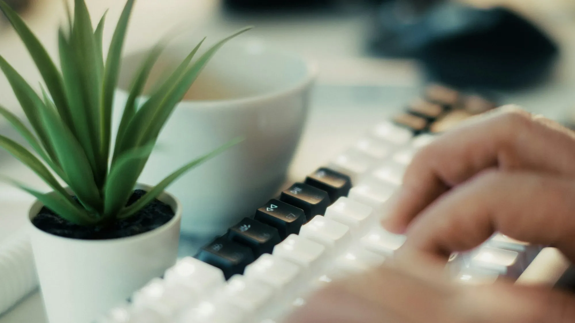 Featured image for Flow at Your Fingertips: The Quiet Power of Muscle Memory in Software Development